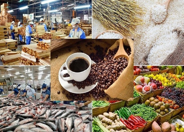 Lộ diện 'ngôi sao' sáng nhất của nông sản Việt Nam