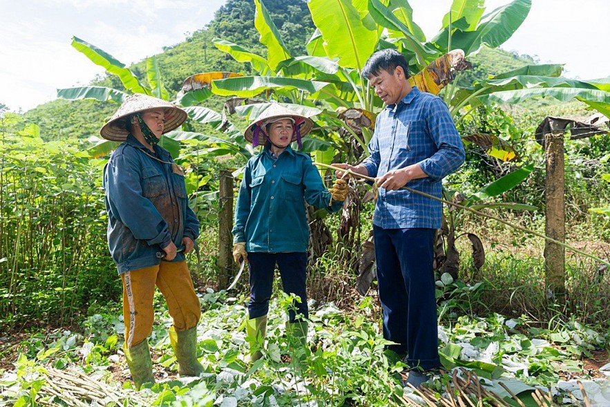 CARE Supports Hoa Binh Residents to Develop Sustainable Hemp Products CARE Supports Hoa Binh Residents to Develop Sustainable Hemp Products