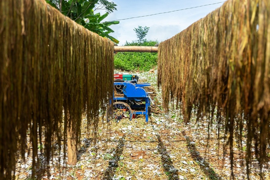 CARE Supports Hoa Binh Residents to Develop Sustainable Hemp Products CARE Supports Hoa Binh Residents to Develop Sustainable Hemp Products