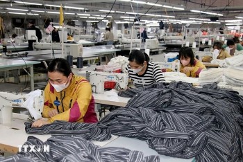 Kế hoạch hành động của Chính phủ về phát triển kinh tế tư nhân