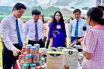 Vùng Trung du - Miền núi phía Bắc: Quyết tâm gỡ khó, thúc đẩy thương mại điện tử