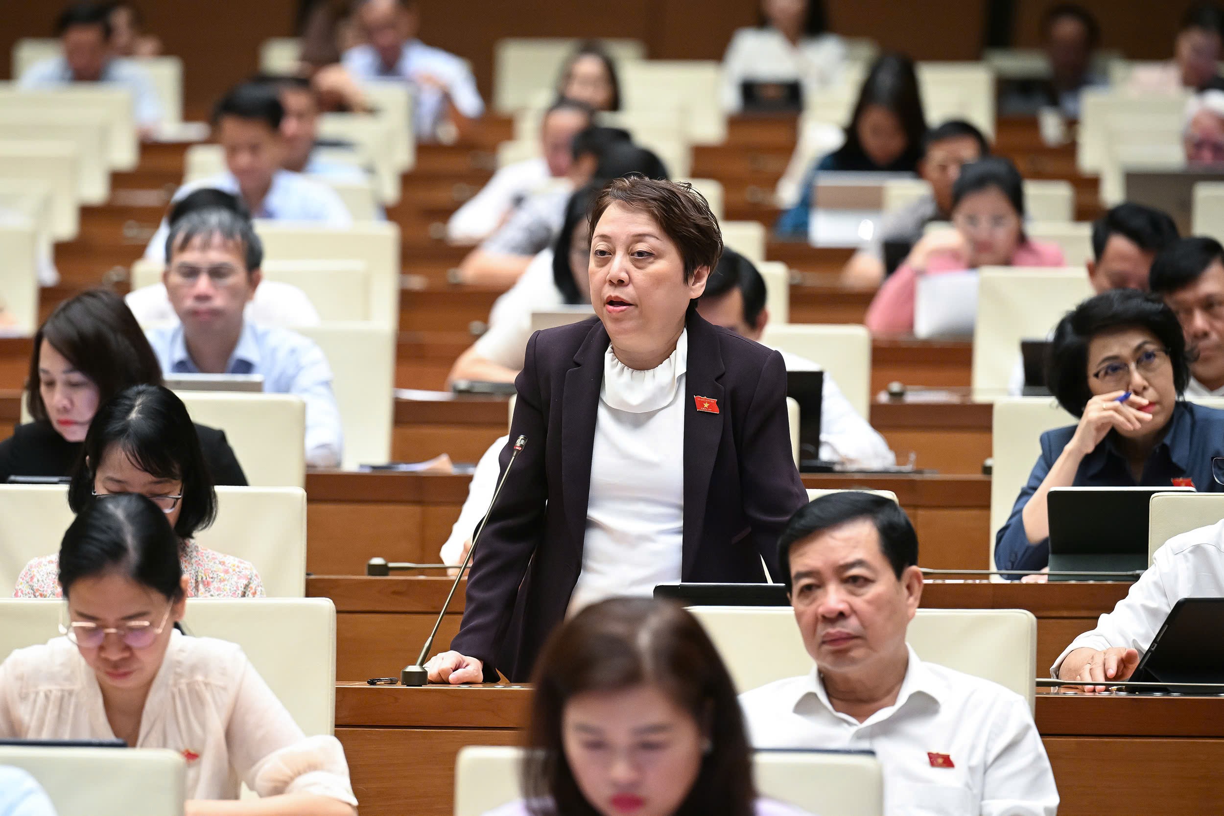 đại biểu Phạm Khánh Phong Lan (Đoàn đại biểu Quốc hội Thành phố Hồ Chí Minh) đại biểu Phạm Khánh Phong Lan (Đoàn đại biểu Quốc hội Thành phố Hồ Chí Minh)