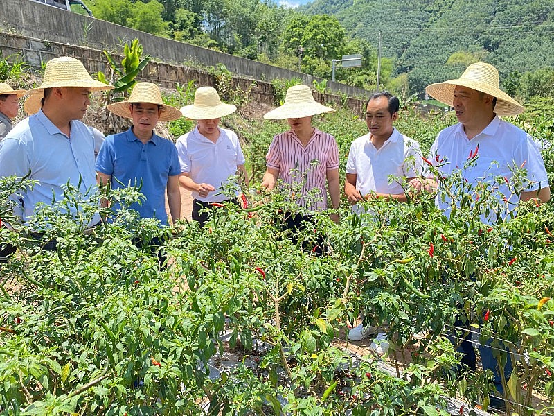 Giao lưu nhân dân: Nhịp cầu hữu nghị Mường Nhé - Giang Thành Giao lưu nhân dân: Nhịp cầu hữu nghị Mường Nhé - Giang Thành