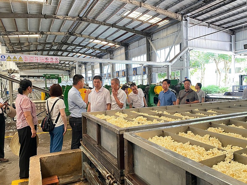 Giao lưu nhân dân: Nhịp cầu hữu nghị Mường Nhé - Giang Thành Giao lưu nhân dân: Nhịp cầu hữu nghị Mường Nhé - Giang Thành