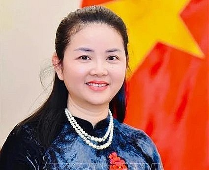Vietnamese Ambassador to Mozambique Tran Thi Thu Thin (Photo: VNA)