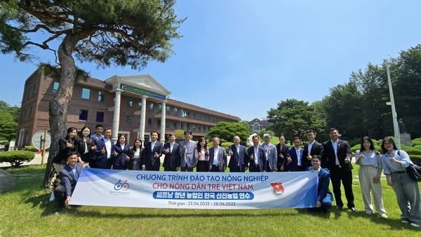 The delegation from the Central Committee of the Ho Chi Minh Communist Youth Union participated in the Advanced Agricultural Training and Vietnam – Republic of Korea (RoK) Rural Youth Exchange Program. (Photo: International Department, Central Committee of the Ho Chi Minh Communist Youth Union) The delegation from the Central Committee of the Ho Chi Minh Communist Youth Union participated in the Advanced Agricultural Training and Vietnam – Republic of Korea (RoK) Rural Youth Exchange Program. (Photo: International Department, Central Committee of the Ho Chi Minh Communist Youth Union)