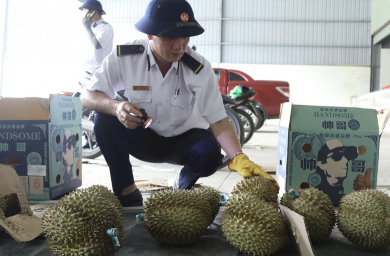 Thủ tục hải quan được xử lý nhanh chóng, đặc biệt ưu tiên cho các mặt hàng nông sản tươi như thanh long, xoài, mít, chuối, dưa hấu, sầu riêng… thông quan ngay trong ngày. (Ảnh: VOV.VN) Thủ tục hải quan được xử lý nhanh chóng, đặc biệt ưu tiên cho các mặt hàng nông sản tươi như thanh long, xoài, mít, chuối, dưa hấu, sầu riêng… thông quan ngay trong ngày. (Ảnh: VOV.VN)