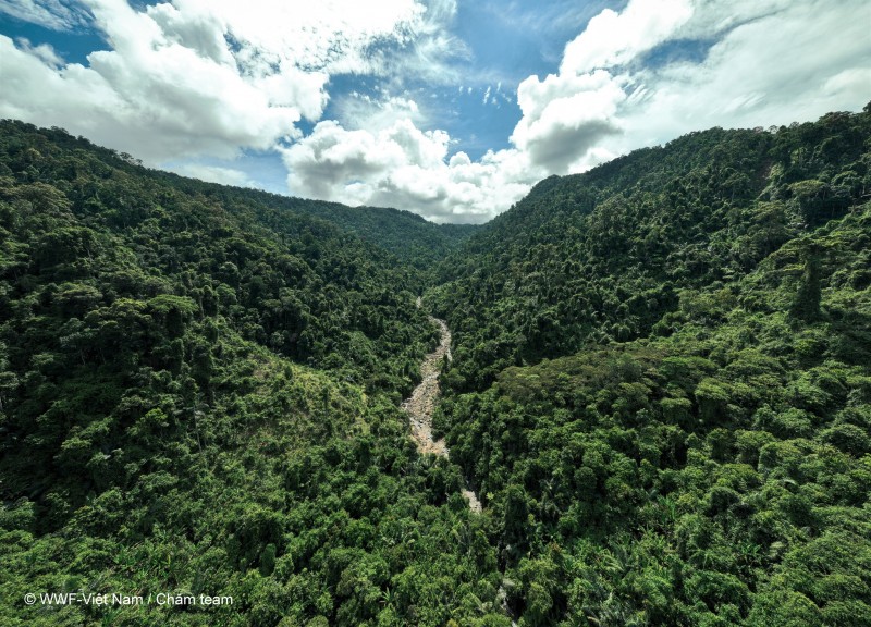 WWF hỗ trợ Quảng Trị bảo tồn đa dạng sinh học, thích ứng biến đổi khí hậu và sinh kế cộng đồng WWF hỗ trợ Quảng Trị bảo tồn đa dạng sinh học, thích ứng biến đổi khí hậu và sinh kế cộng đồng