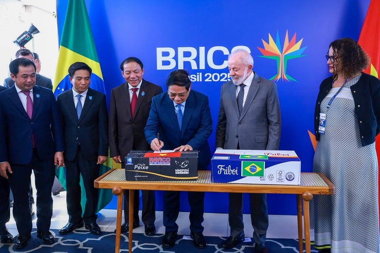 Thủ tướng Phạm Minh Chính hội đàm với Tổng thống Brazil Thủ tướng Phạm Minh Chính hội đàm với Tổng thống Brazil