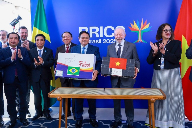 Thủ tướng Phạm Minh Chính hội đàm với Tổng thống Brazil Thủ tướng Phạm Minh Chính hội đàm với Tổng thống Brazil