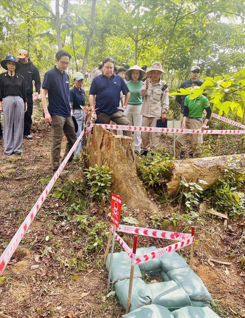 On April 2, 2025, a delegation from the Ministry of Foreign Affairs led by Deputy Minister Do Hung Viet and a delegation from the US Embassy in Viet Nam led by Ambassador Marc E. Knapper visited the unexploded ordnance (UXO) destruction site of PeaceTrees Viet Nam in Quang Tri Province. (Photo: VNA) On April 2, 2025, a delegation from the Ministry of Foreign Affairs led by Deputy Minister Do Hung Viet and a delegation from the US Embassy in Viet Nam led by Ambassador Marc E. Knapper visited the unexploded ordnance (UXO) destruction site of PeaceTrees Viet Nam in Quang Tri Province. (Photo: VNA)