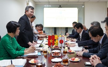 Hà Nội và Tottori (Nhật Bản) thúc đẩy hợp tác nông nghiệp công nghệ cao và giao lưu nhân dân