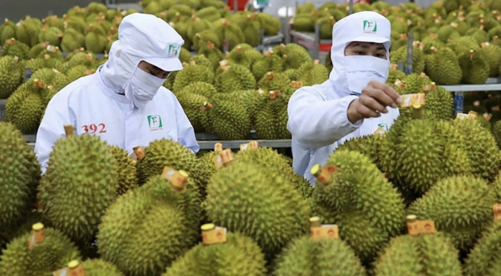 GDP của nước ta trong 6 tháng đầu năm đạt 7,52% GDP của nước ta trong 6 tháng đầu năm đạt 7,52%