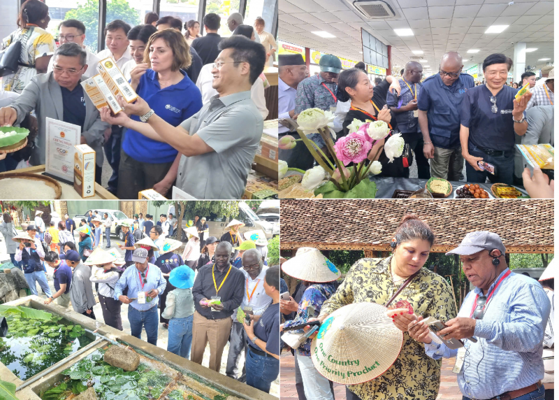 Tổ chức FAO tìm hiểu mô hình phát triển sản phẩm OCOP tại Ninh Bình Tổ chức FAO tìm hiểu mô hình phát triển sản phẩm OCOP tại Ninh Bình