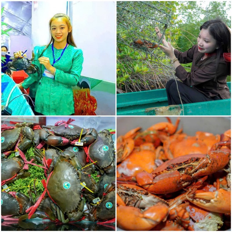 Đẩy mạnh truyền thông, quảng bá sự kiện Ngày hội Cua Cà Mau - lần thứ II năm 2025 Đẩy mạnh truyền thông, quảng bá sự kiện Ngày hội Cua Cà Mau - lần thứ II năm 2025