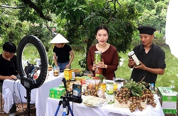 Content creators help farmers in Hung Yen province promote and sell longan and OCOP agricultural products on TikTok. Content creators help farmers in Hung Yen province promote and sell longan and OCOP agricultural products on TikTok.