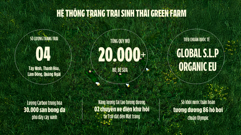 (hình 11: chọn 1 trong 2) Ảnh: Vi Nam (hình 11: chọn 1 trong 2) Ảnh: Vi Nam