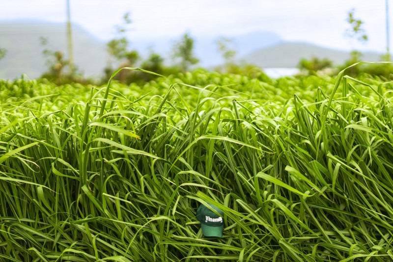 Ảnh: Quang Định Ảnh: Quang Định