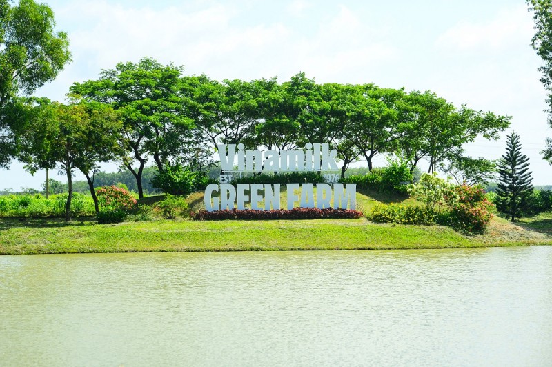 (hình 8) Ảnh: Quang Định (hình 8) Ảnh: Quang Định