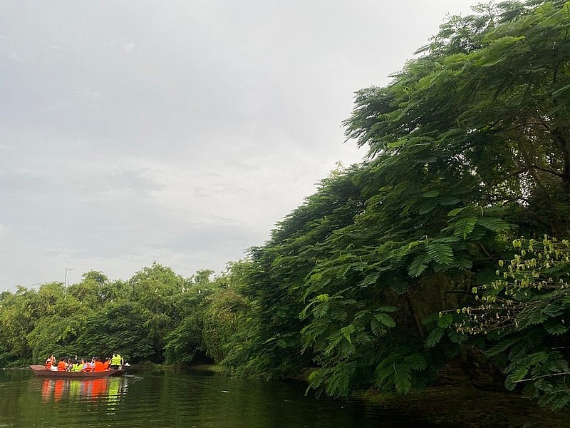 Co Island Ecotourism Site, Hai Phong.