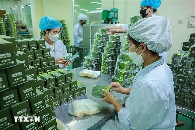 Production of herbal-based products at Lam Dong Pharmaceutical JSC. (VNA/VNS Photo)