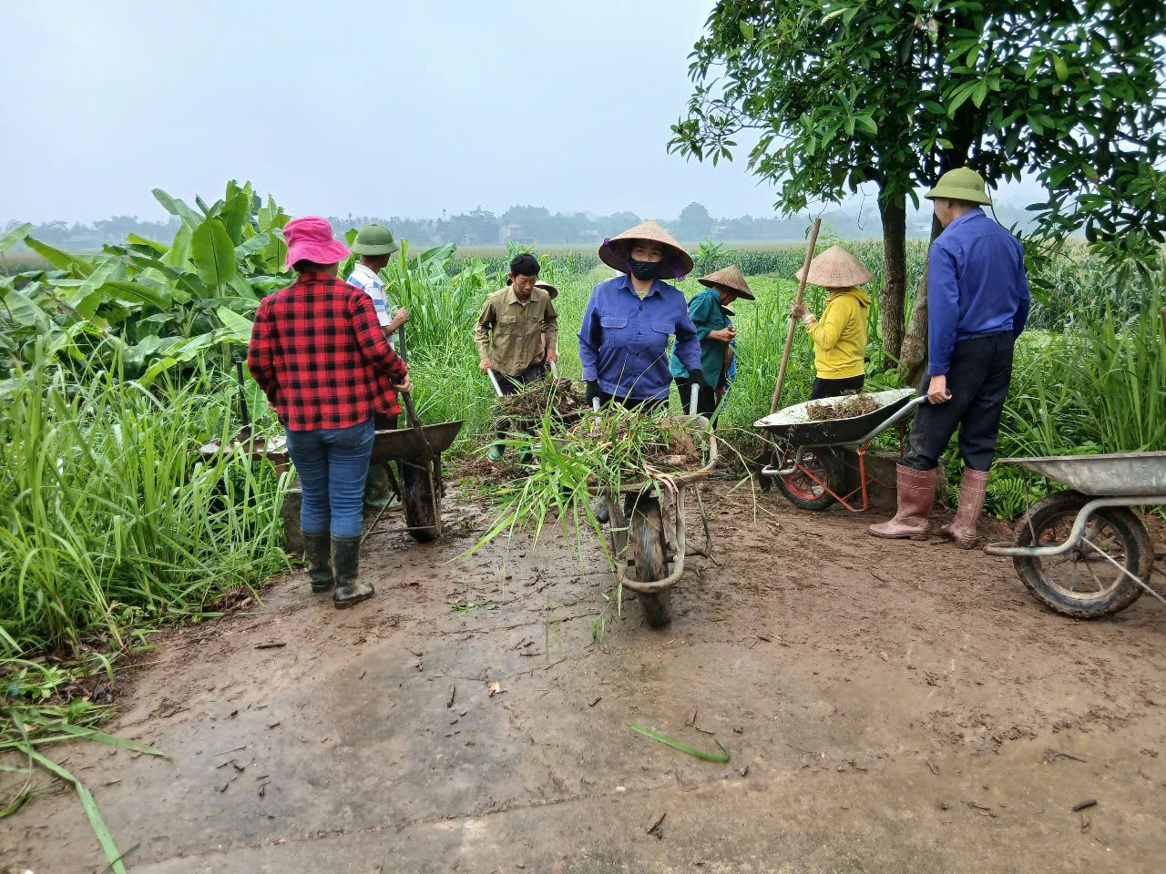 Hoạt động lao động đổi công tạo thu nhập tại tỉnh Yên Bái (cũ), nay là tỉnh Lào Cai. (Ảnh: Oxfam) Hoạt động lao động đổi công tạo thu nhập tại tỉnh Yên Bái (cũ), nay là tỉnh Lào Cai. (Ảnh: Oxfam)