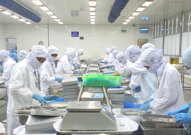 Theo các doanh nghiệp, cần phải đa dạng hóa thị trường để không bị phụ thuộc vào một thị trường nào. Theo các doanh nghiệp, cần phải đa dạng hóa thị trường để không bị phụ thuộc vào một thị trường nào.