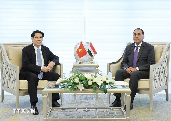 Chủ tịch nước Lương Cường hội kiến Thủ tướng Ai Cập Mostafa Madbouly. (Ảnh: Lâm Khánh/TTXVN) Chủ tịch nước Lương Cường hội kiến Thủ tướng Ai Cập Mostafa Madbouly. (Ảnh: Lâm Khánh/TTXVN)