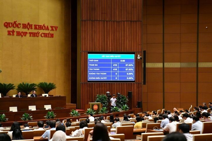 All deputies present voted unanimously in favor of the amended Nationality Law. (Photo: Cong Thuong Newspaper) All deputies present voted unanimously in favor of the amended Nationality Law. (Photo: Cong Thuong Newspaper)