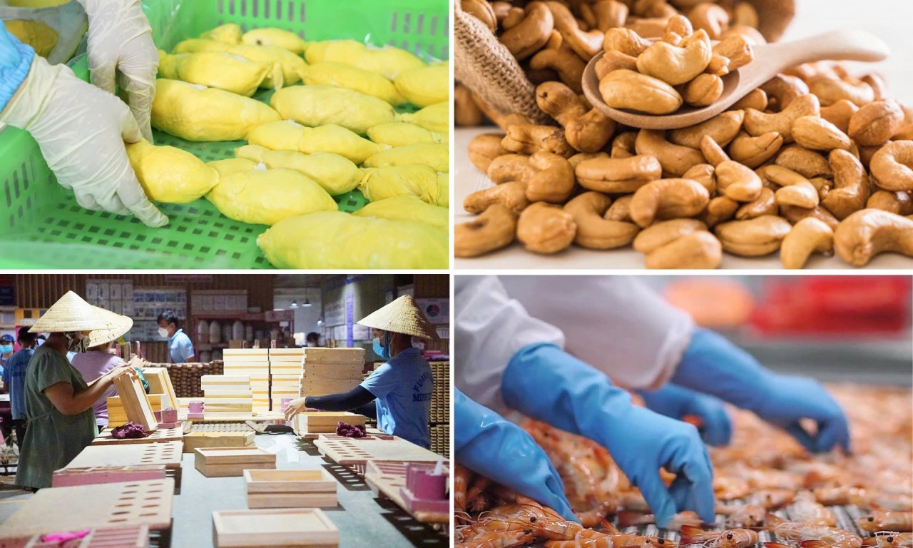 Seeking Solutions to Boost Agro-Forestry-Fishery Exports By Year-End In Vietnam