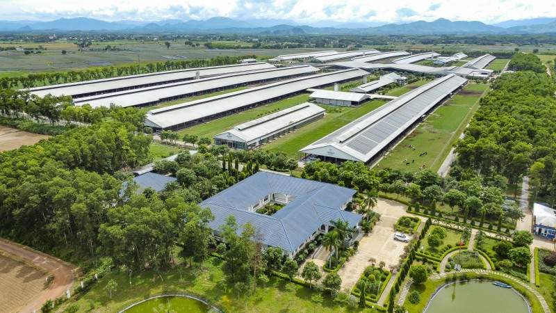 Ảnh 2A hoặc Ảnh 2B: Hệ thống 15 trang trại đạt chuẩn Organic châu Âu và Global S.L.P là nền tảng giúp Vinamilk chủ động nguồn nguyên liệu chất lượng cao (Ảnh: Minh Anh). Ảnh 2A hoặc Ảnh 2B: Hệ thống 15 trang trại đạt chuẩn Organic châu Âu và Global S.L.P là nền tảng giúp Vinamilk chủ động nguồn nguyên liệu chất lượng cao (Ảnh: Minh Anh).
