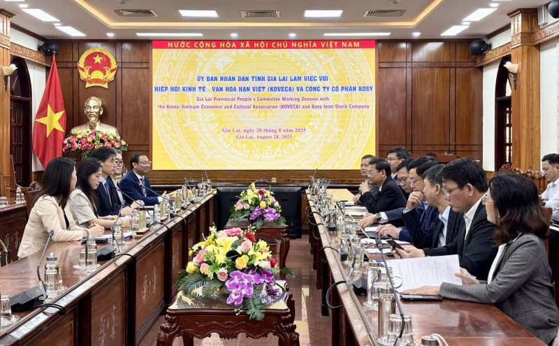 KOVECA: mong muốn kết nối và mở đường bay trực tiếp giữa Quy Nhơn và Hàn Quốc KOVECA: mong muốn kết nối và mở đường bay trực tiếp giữa Quy Nhơn và Hàn Quốc