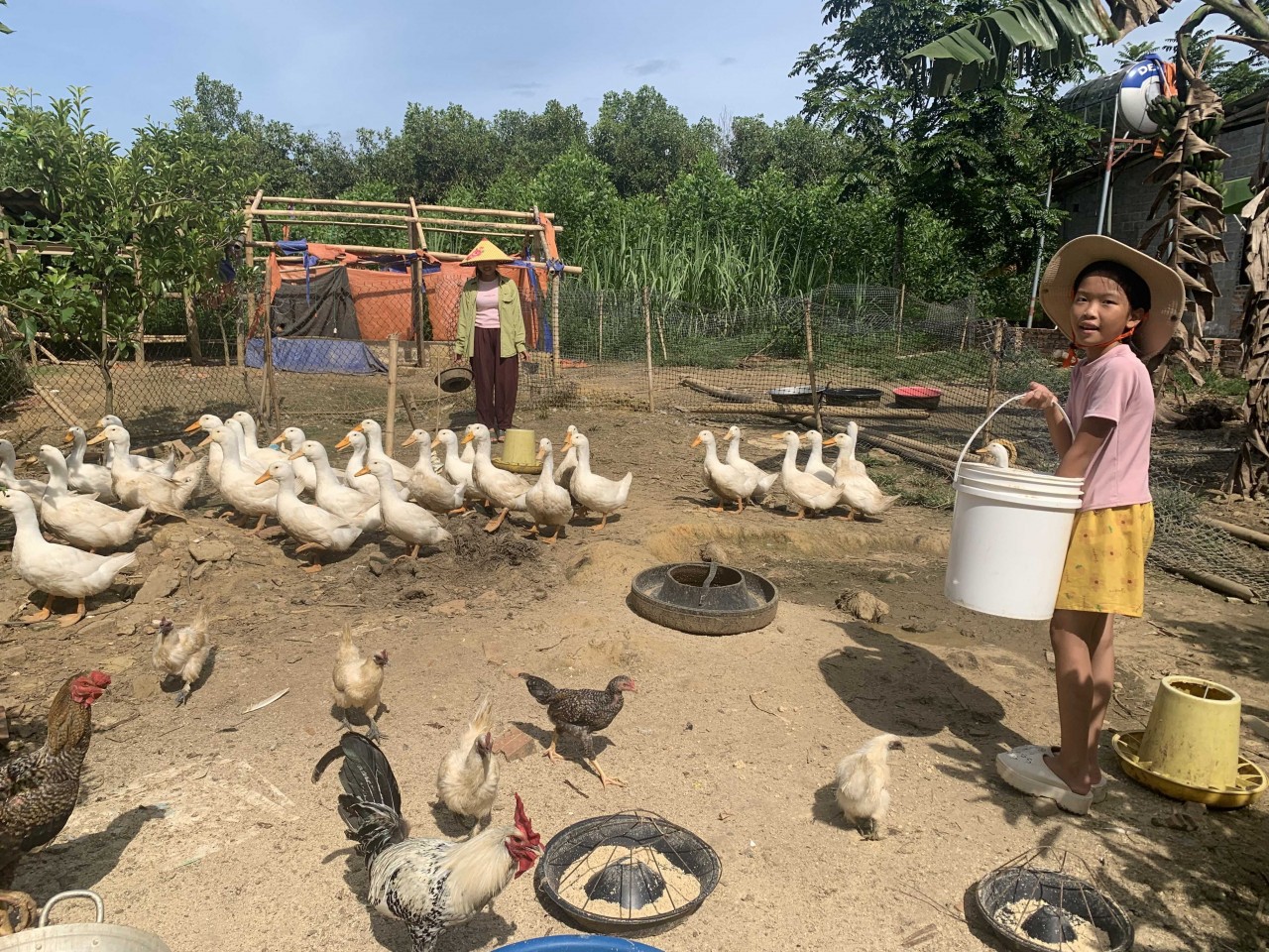 Linh and her daughter take care of the Mavin duck flock together. (Photo: WVIV) Linh and her daughter take care of the Mavin duck flock together. (Photo: WVIV)