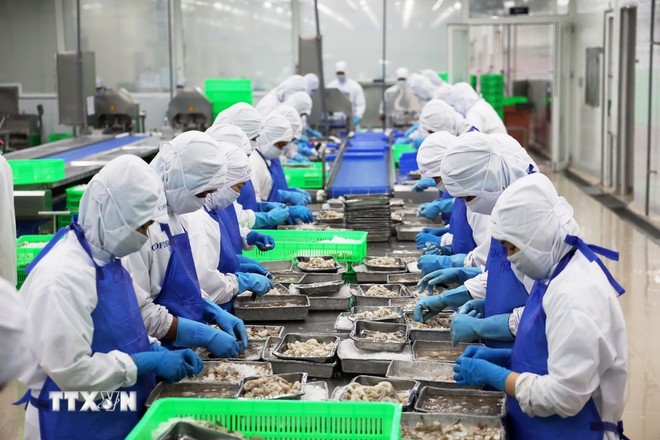 Thủy sản Việt Nam vượt sóng xuất khẩu khi liên tục đối mặt các rào cản kỹ thuật Thủy sản Việt Nam vượt sóng xuất khẩu khi liên tục đối mặt các rào cản kỹ thuật