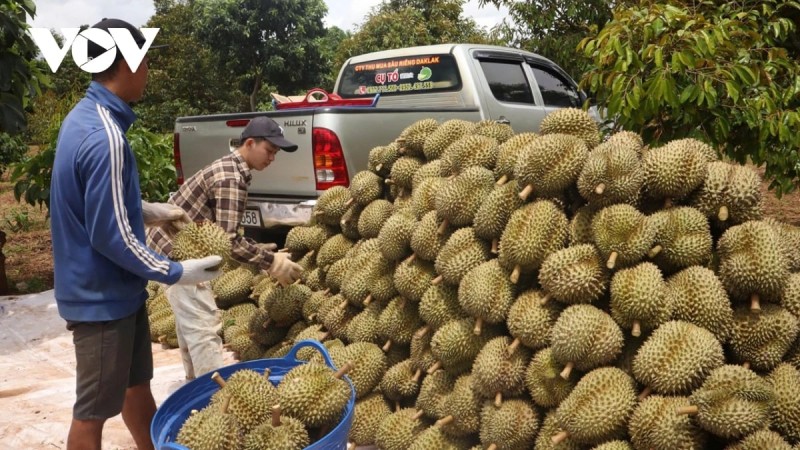 Kinh tế Việt Nam: Tăng trưởng ấn tượng, lạm phát trong tầm kiểm soát