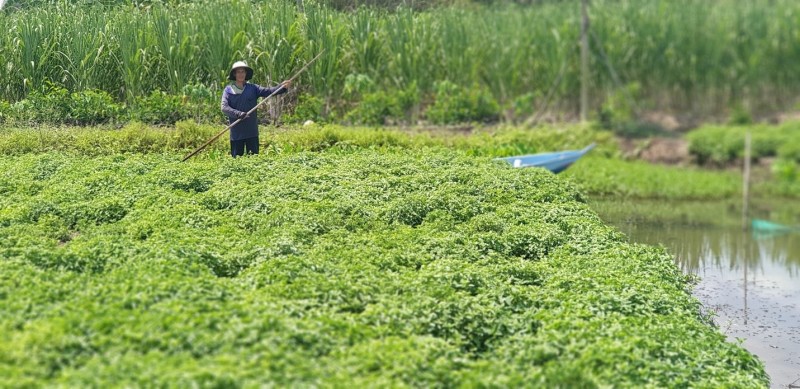 Từ khởi đầu thử thách đến 17 năm bứt phá: Trà Thanh Nhiệt Dr Thanh viết nên chuẩn 3 Không Từ khởi đầu thử thách đến 17 năm bứt phá: Trà Thanh Nhiệt Dr Thanh viết nên chuẩn 3 Không