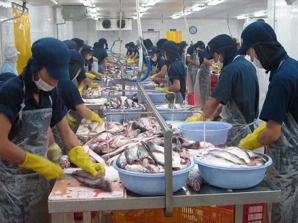 ADB Raises Vietnam's Economic Growth Forecast This Year To 6.7% ADB Raises Vietnam's Economic Growth Forecast This Year To 6.7%
