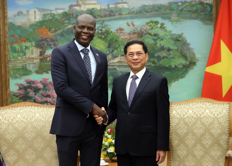 Phó Thủ tướng Bùi Thanh Sơn tiếp Bộ trưởng Ngoại giao và Hợp tác quốc tế Nam Phi Ronald Lamola - Ảnh: VGP/Hải Minh Phó Thủ tướng Bùi Thanh Sơn tiếp Bộ trưởng Ngoại giao và Hợp tác quốc tế Nam Phi Ronald Lamola - Ảnh: VGP/Hải Minh