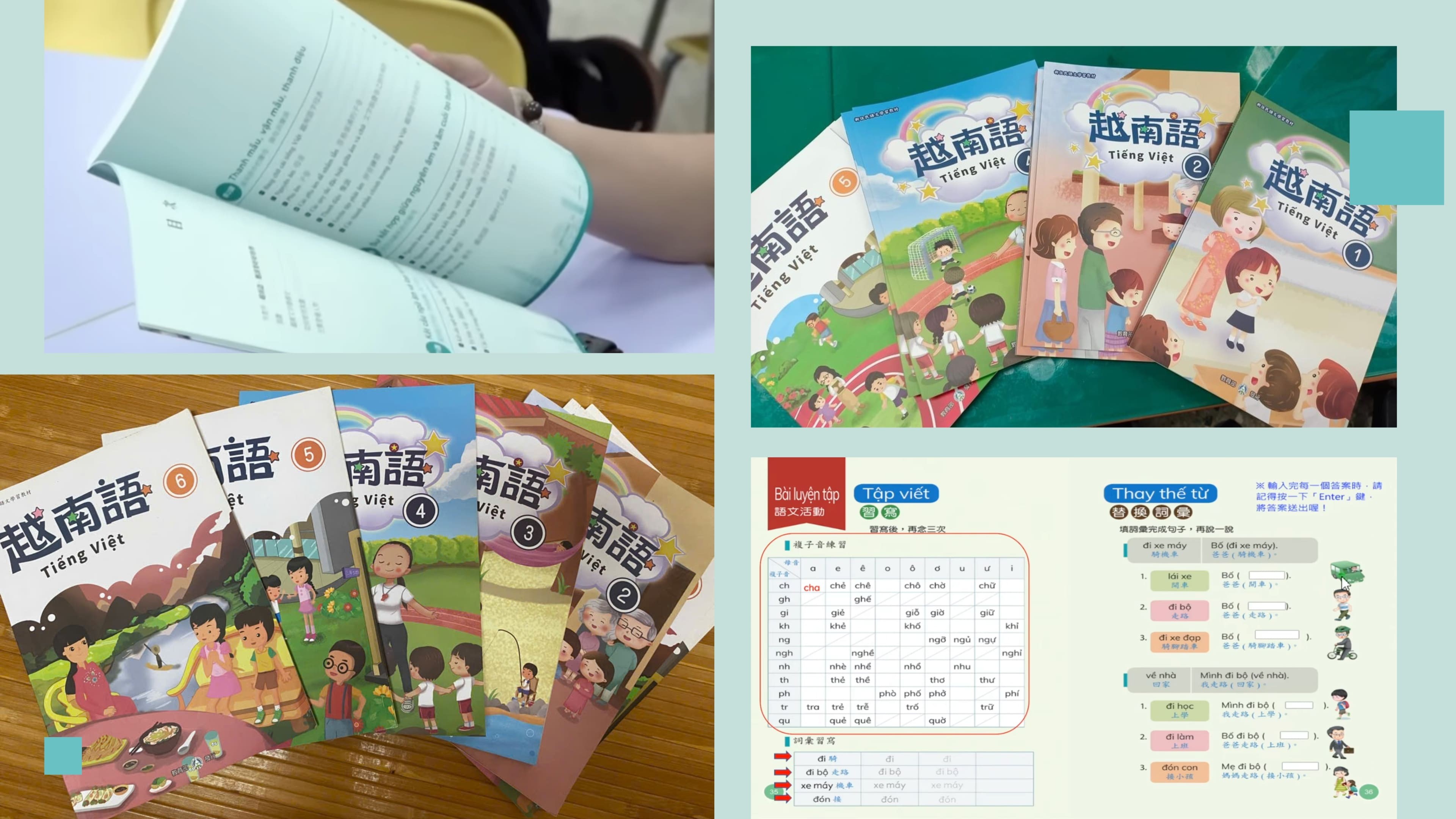 Dr. Nguyen Thi Thanh Ha: Two Decades of Nurturing Vietnamese Language in Taiwan (China) Dr. Nguyen Thi Thanh Ha: Two Decades of Nurturing Vietnamese Language in Taiwan (China)