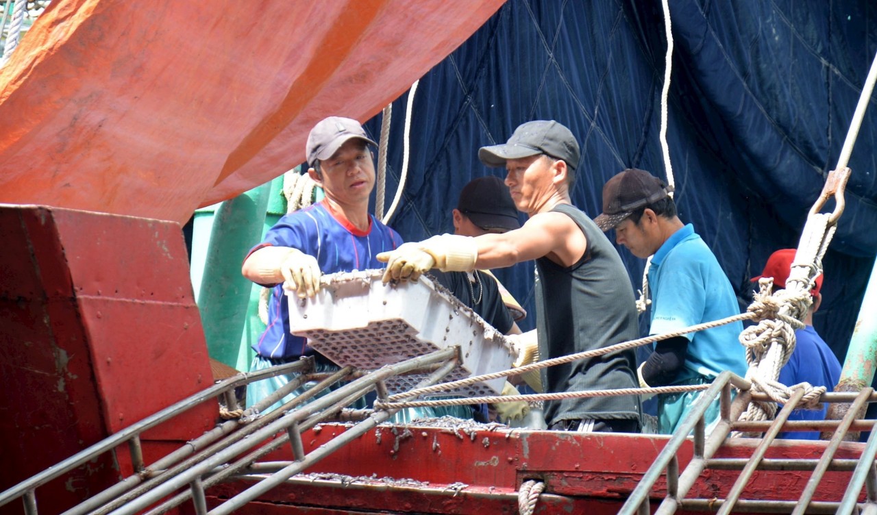 Fishermen unload seafood at Lach Quen Fishing Port.