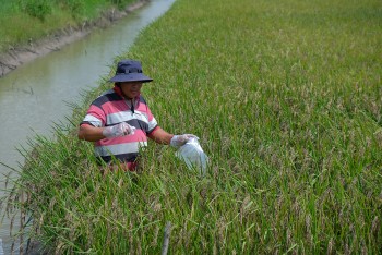 WVIV và Australia giúp nông dân Mekong thích ứng biến đổi khí hậu