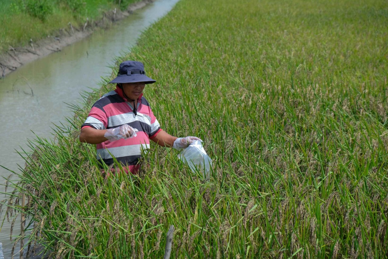 WVIV And Australia Help Mekong Farmers Adapt To Climate Change WVIV And Australia Help Mekong Farmers Adapt To Climate Change