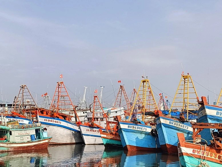 Thành phố Hồ Chí Minh không còn tàu cá vi phạm IUU Thành phố Hồ Chí Minh không còn tàu cá vi phạm IUU