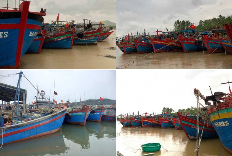 Nghệ An cấp tốc triển khai hành động tháng cao điểm chống khai thác IUU