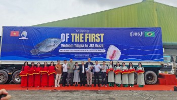 Việt Nam xuất khẩu lô hàng 700 tấn cá rô phi đầu tiên sang Brazil