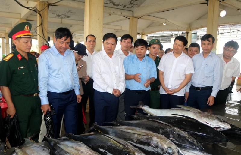 Đắk Lắk triển khai quyết liệt các nhiệm vụ cấp bách chống khai thác IUU Đắk Lắk triển khai quyết liệt các nhiệm vụ cấp bách chống khai thác IUU