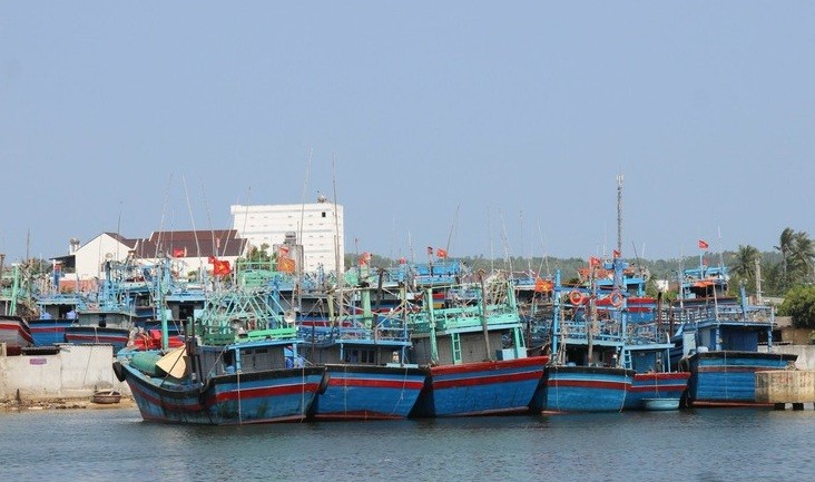 Đắk Lắk triển khai quyết liệt các nhiệm vụ cấp bách chống khai thác IUU Đắk Lắk triển khai quyết liệt các nhiệm vụ cấp bách chống khai thác IUU
