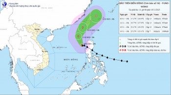 Bão số 14 Fung-Wong 