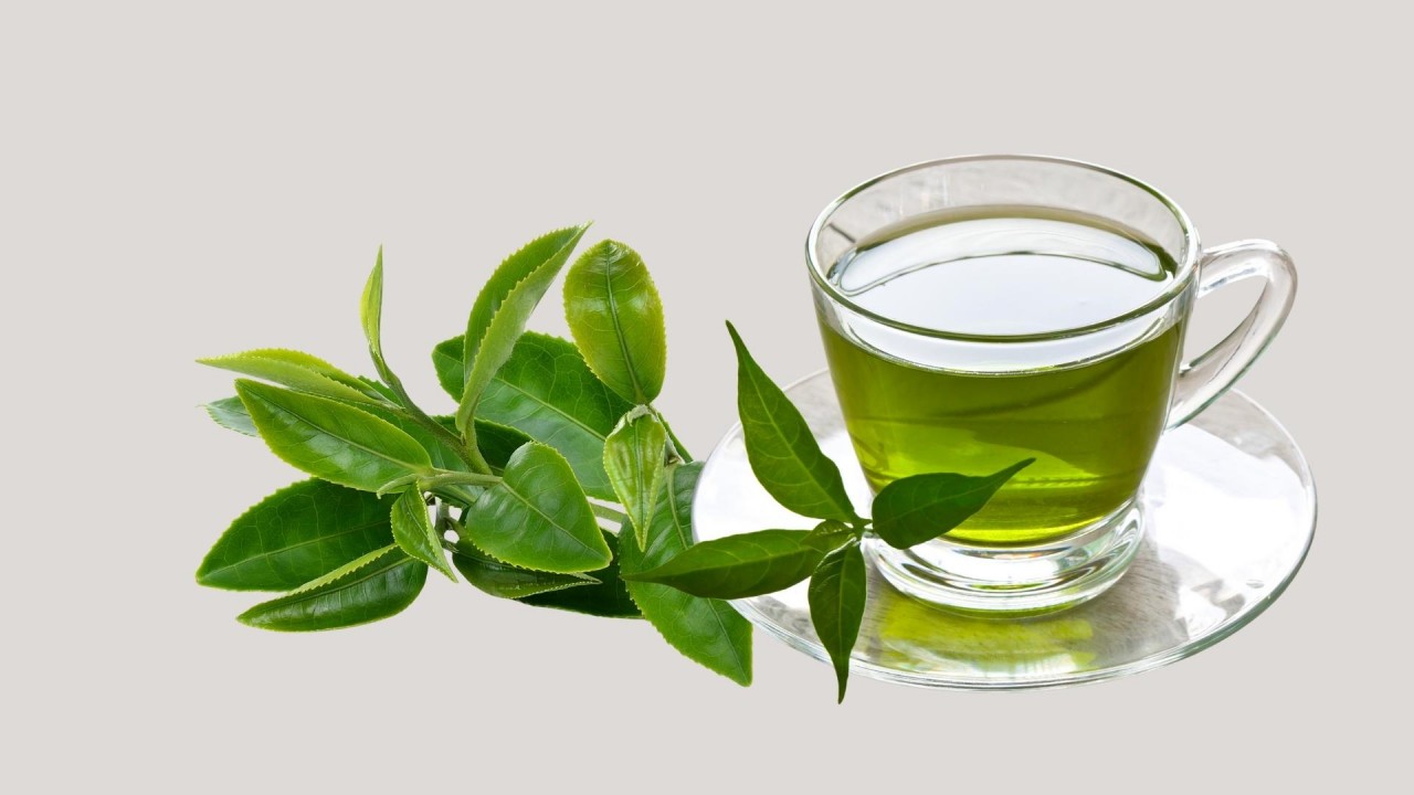 Why You Should Drink Green Tea Every Day? Why You Should Drink Green Tea Every Day?