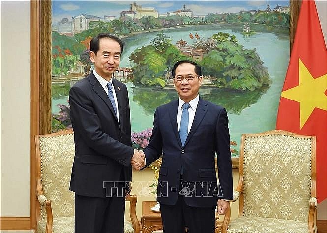 Deputy Prime Minister Bui Thanh Son (right) and Chinese Ambassador to Vietnam He Wei at their meeting on November 17 (Photo: VNA)